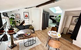 Loft Hortensia Hyper Centre Castres