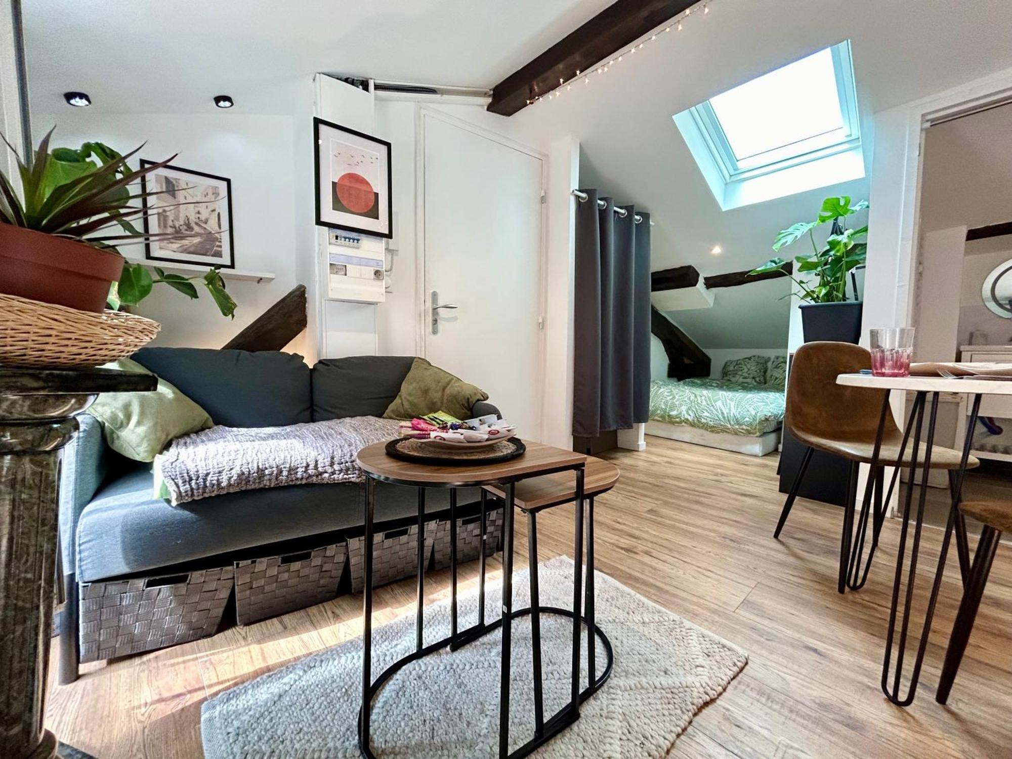 Loft Hortensia Hyper Centre Castres Castres  Extérieur photo