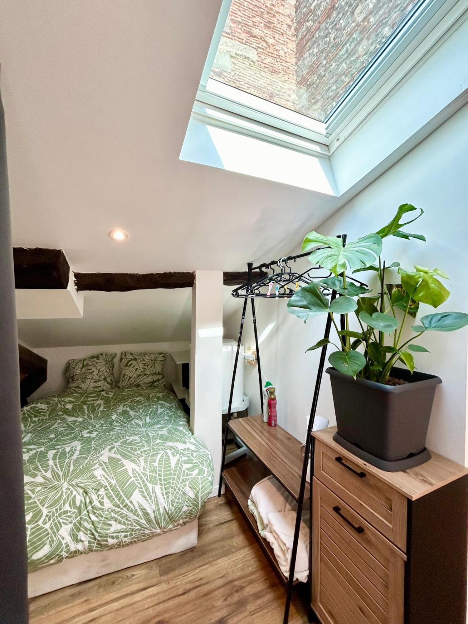 Loft Hortensia Hyper Centre Castres Castres  Extérieur photo